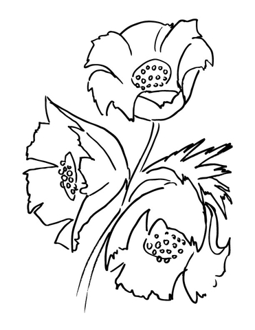 Poppy Flower Bouquet  Coloring Page